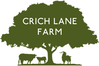 Holidays in Derbyshire